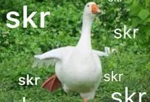 网上流行的吃瓜是什么意思,围观娱乐圈背后的真相