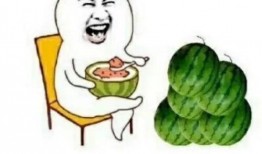 娱乐吃瓜宠物,吃瓜宠物们的欢乐日常